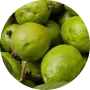 Guava